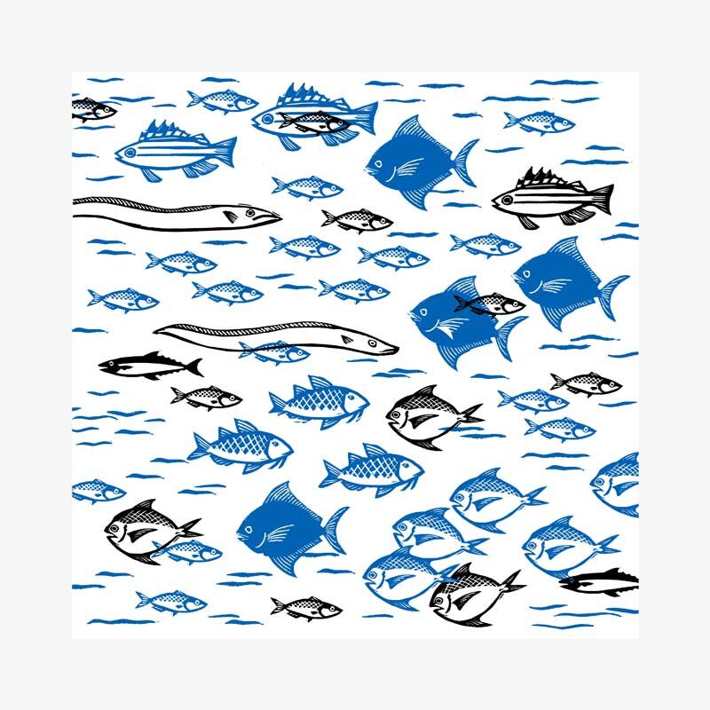 blackfish-blue-fish.jpg