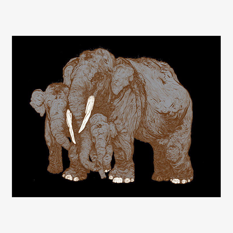 Forest Encounters: Elephants (brown)