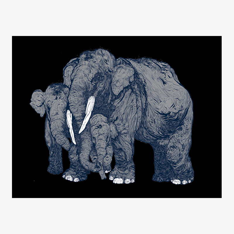 Forest Encounters: Elephants (grey)